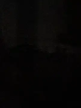 Hendricklavel1 webcam