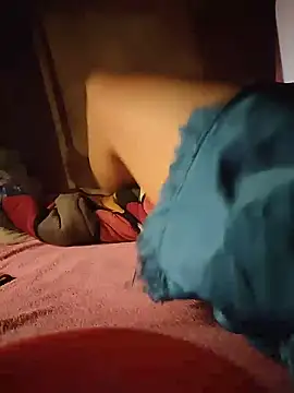-Tara-a webcam
