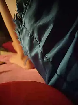 -Tara-a webcam