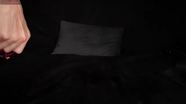 STOP-PANIC webcam