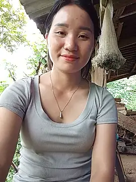 Td3di webcam