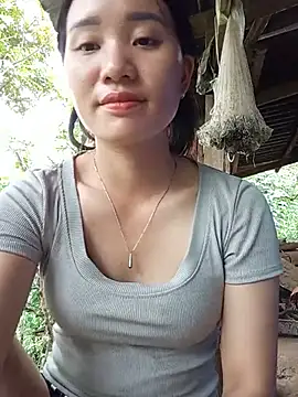 Td3di webcam