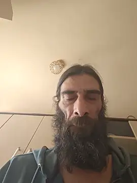 vulpe8400 webcam
