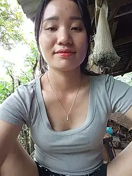 Td3di webcam