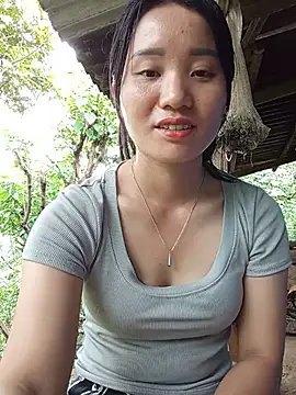 Td3di webcam