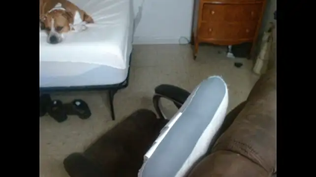 DADDY_KANE8--- webcam