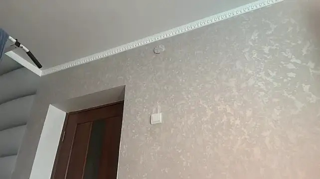 tomasdickpick webcam