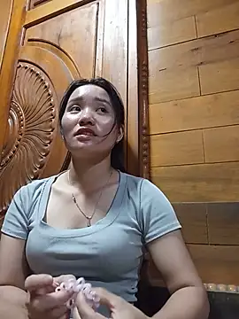 Td3di webcam