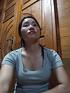 Td3di webcam