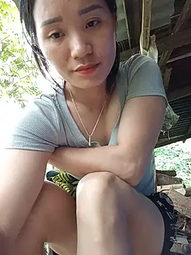 Td3di webcam