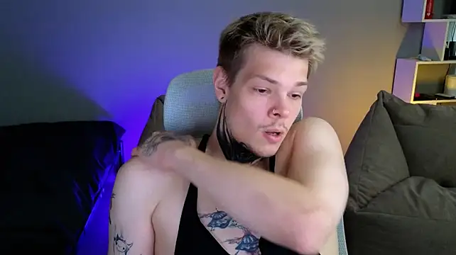 DENIS_HERE webcam