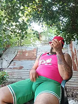 idbsj