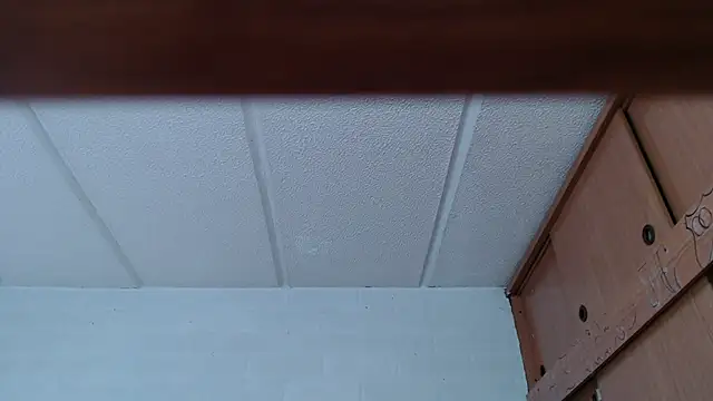 Amy66 webcam