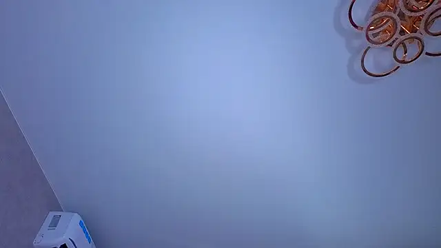 PerryKitty webcam