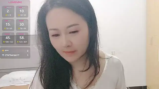 fanfan-FF webcam
