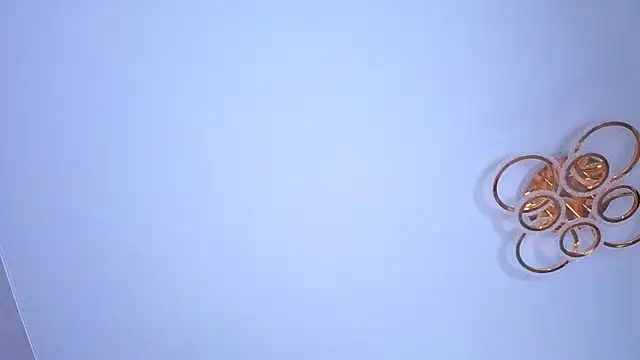 PerryKitty webcam