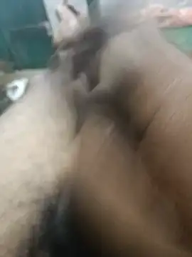 blackchocolateforest webcam