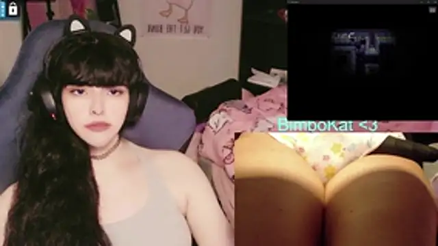BimboCat webcam