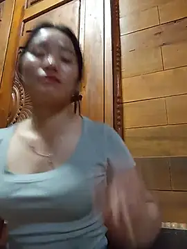 Td3di webcam