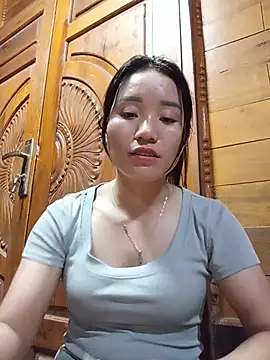 Td3di webcam