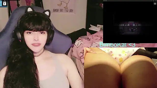 BimboCat webcam