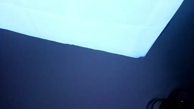 PerryKitty webcam