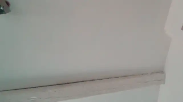 CeriseLapine webcam