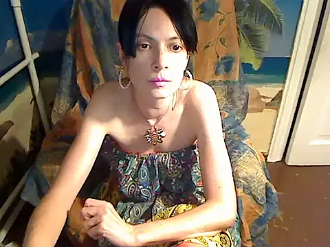 Bastet12 webcam