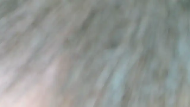 sonyx webcam