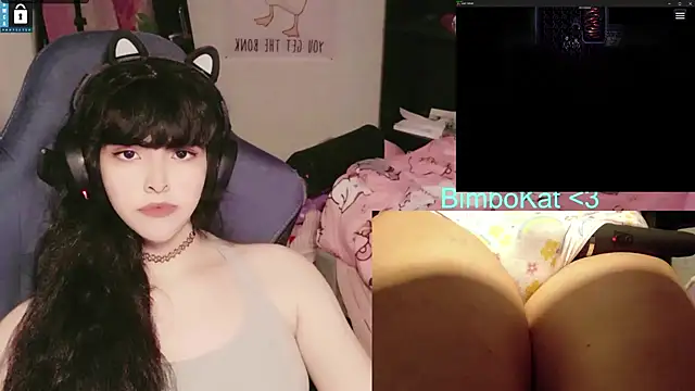 BimboCat webcam