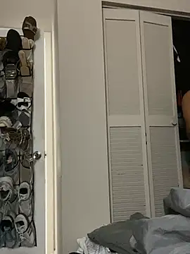 islandvybee55 webcam