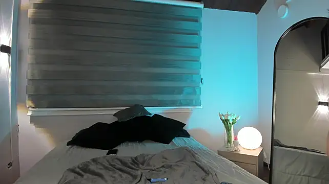MERIDA_TAYLOR webcam