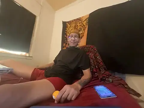 ThrowedWorldWide webcam