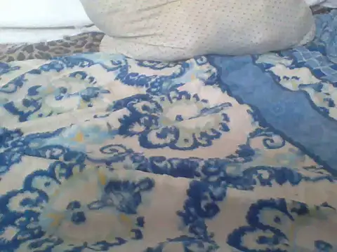 CohesiveCatching webcam