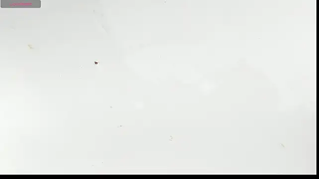 sophie_Laurent webcam