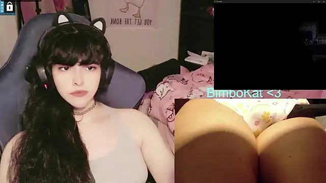 BimboCat webcam