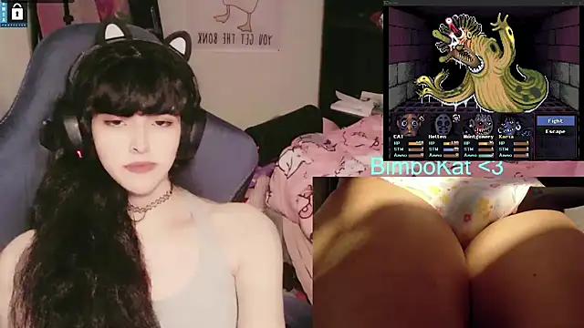 BimboCat webcam