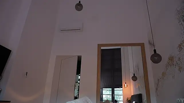 ibiddi webcam