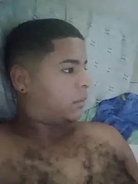 Mithckey webcam