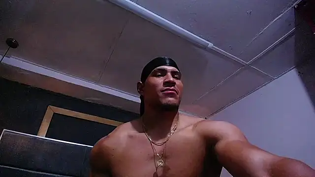 teddyfit19cm webcam