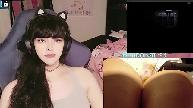 BimboCat webcam
