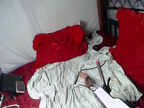 Whimsicalwillow webcam