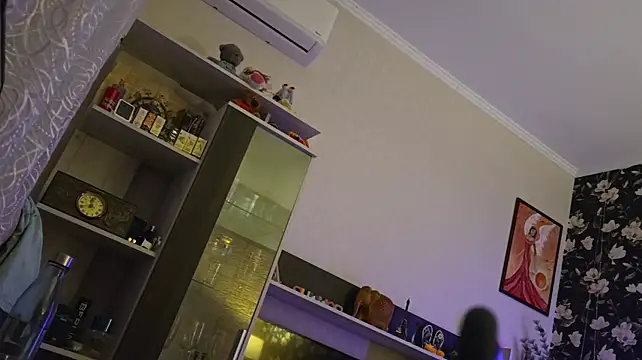 Vuitton webcam