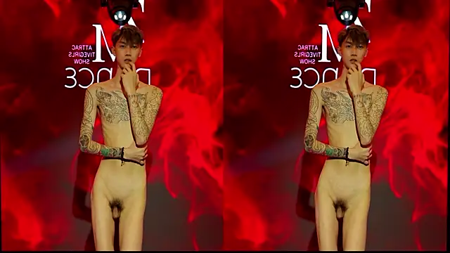 NDN-6666 webcam