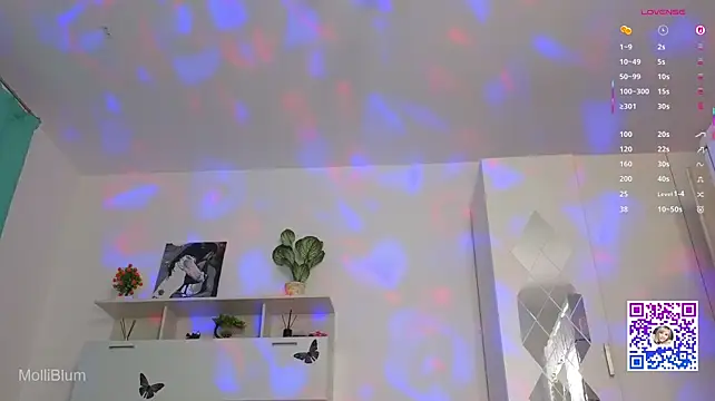 Molliblum webcam