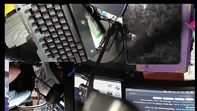 Sinstresshemlock webcam