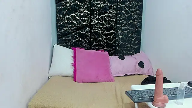 AnaCole webcam