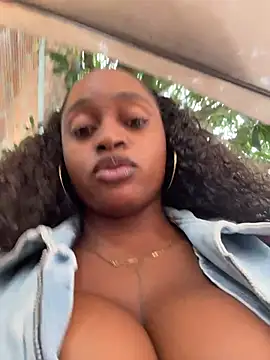 darle_volant webcam