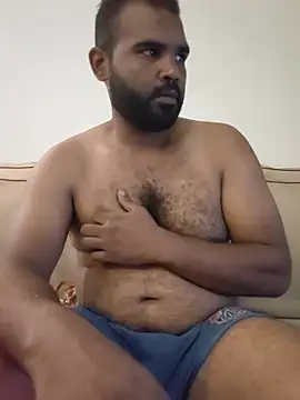 Lion_meis