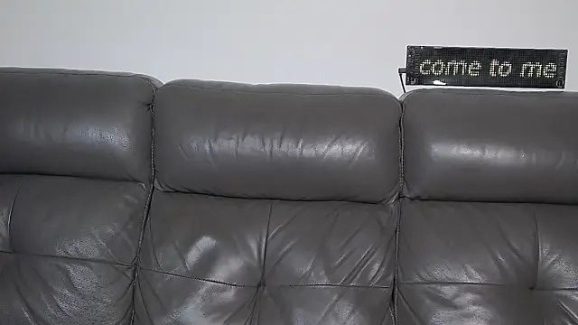 CrazyDom1 webcam